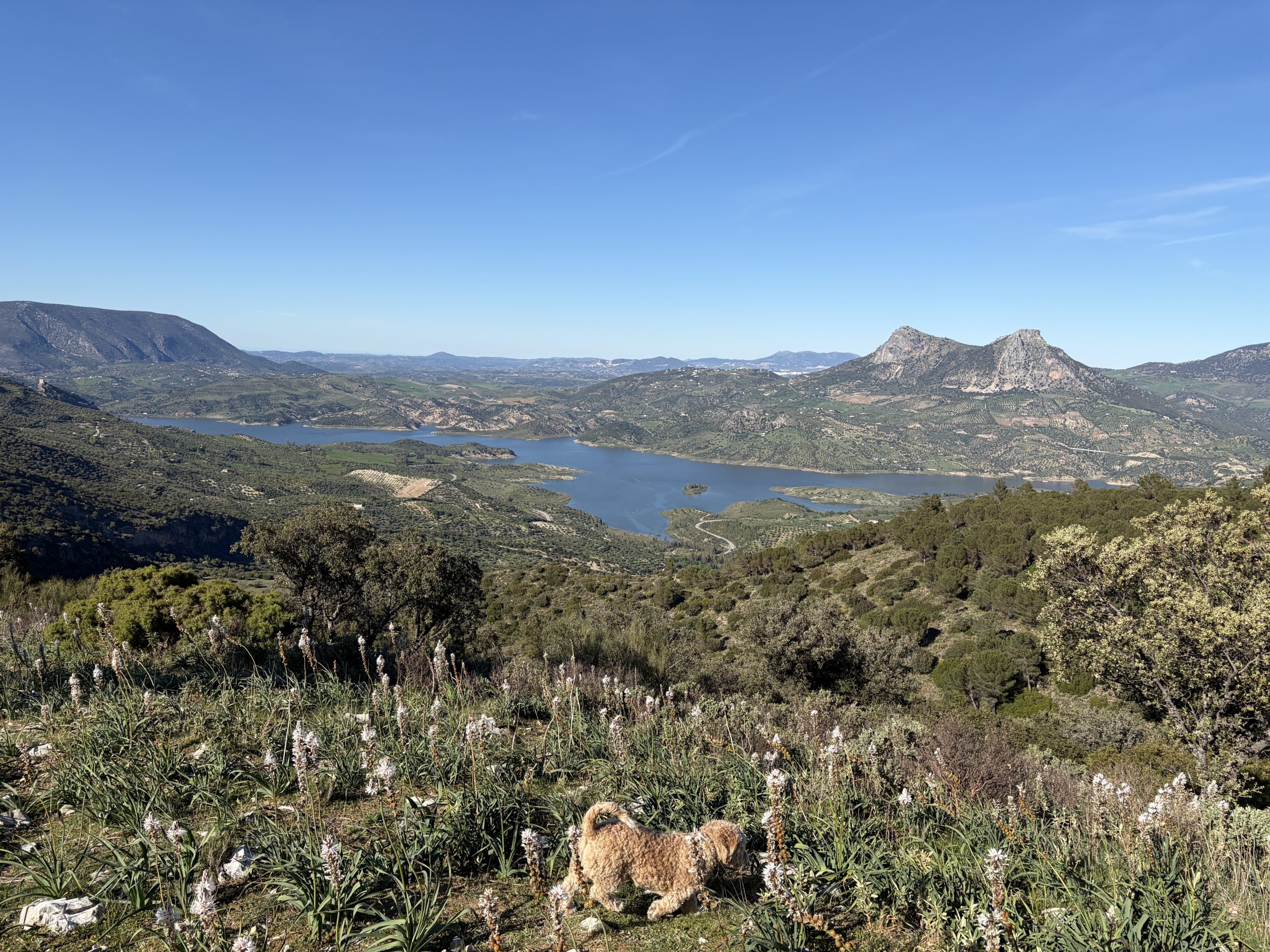 Caminos de la Sierra de Líjar sobre Algodonales